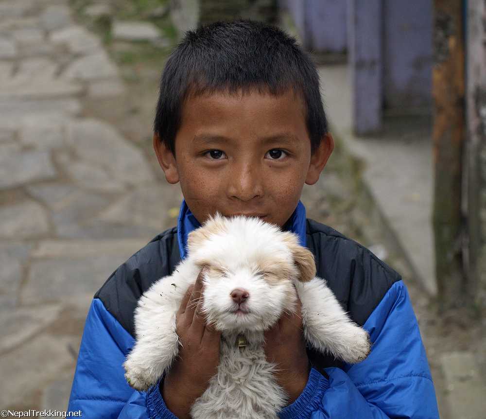 Puppy and Nepali Boy