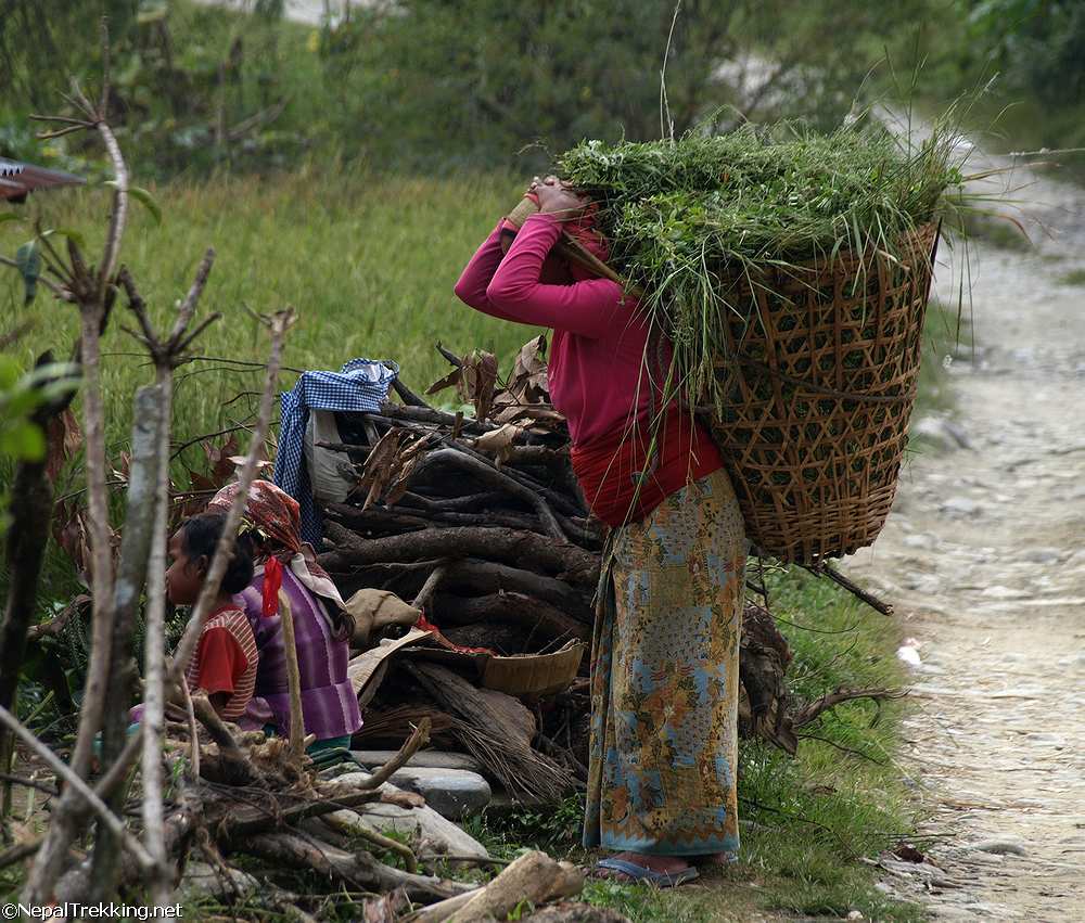 Nepali Woman Carrying  Basket